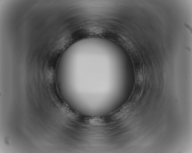 X0000099230468200805011140