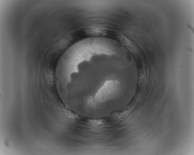 X0000099230469200805011140