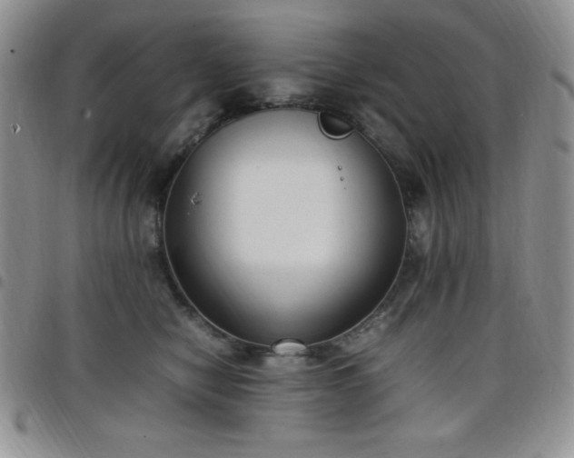 X0000099230470200805011140