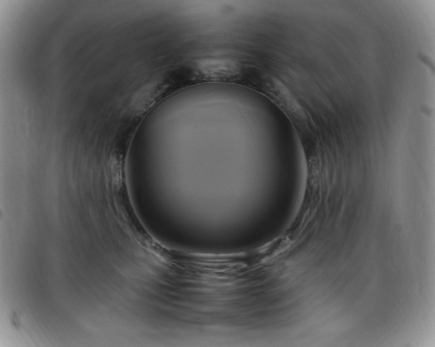 X0000099230471200805011140