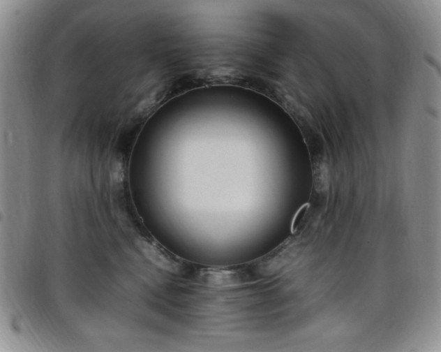 X0000099230472200805011140