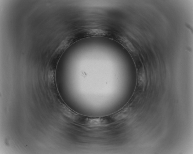 X0000099230473200805011140