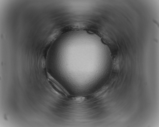 X0000099230474200805011140