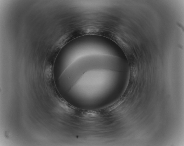 X0000099230475200805011140