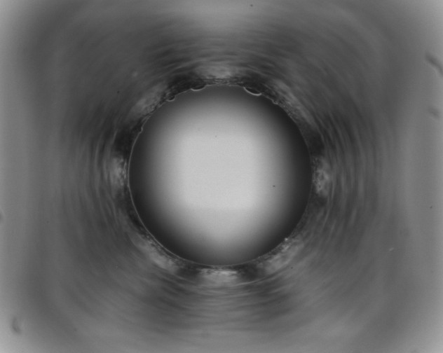 X0000099230476200805011140