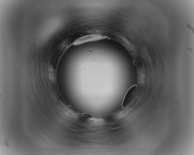 X0000099230477200805011140