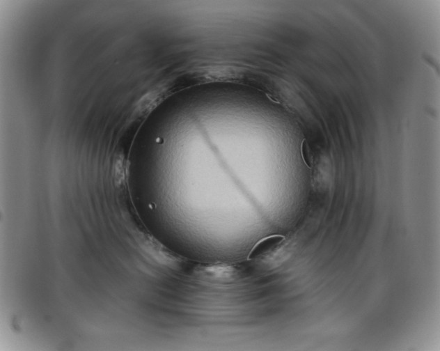 X0000099230478200805011140