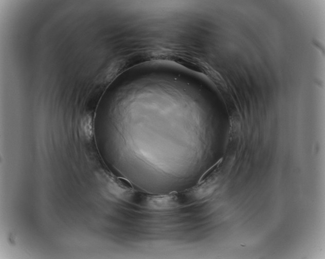 X0000099230479200805011140