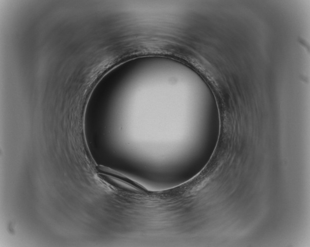 X0000099230481200805011140