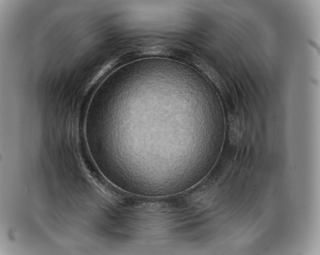 X0000099230482200805011140