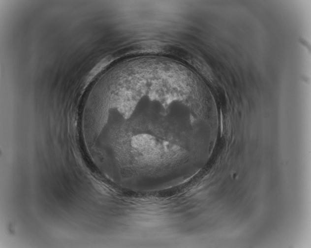 X0000099230483200805011140