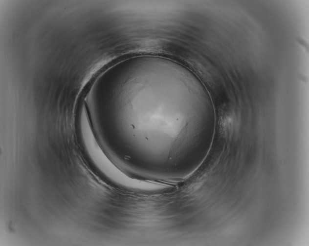 X0000099230484200805011140