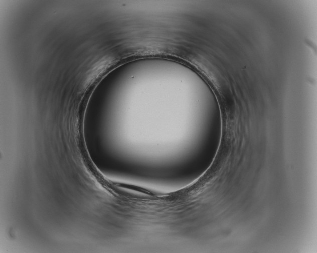 X0000099230485200805011140