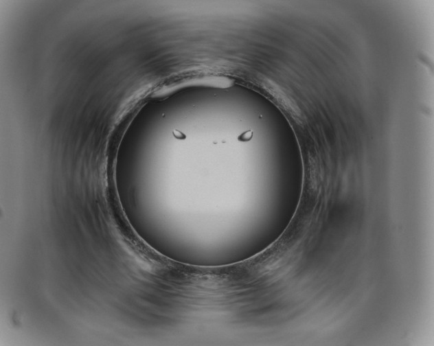 X0000099230486200805011140