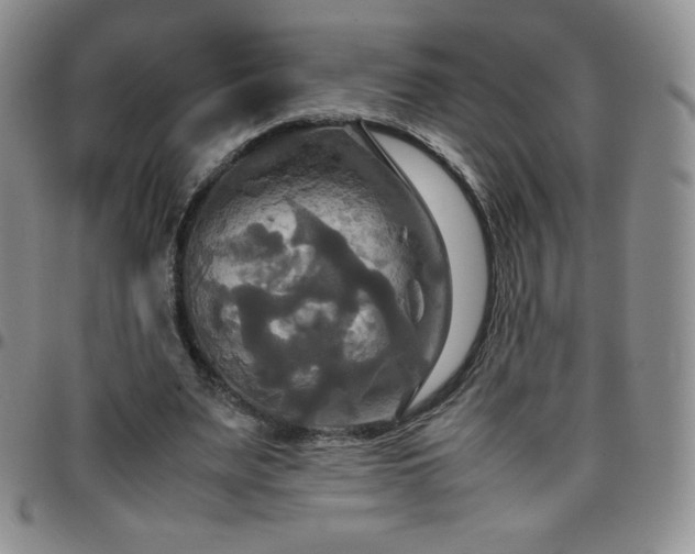 X0000099230487200805011140