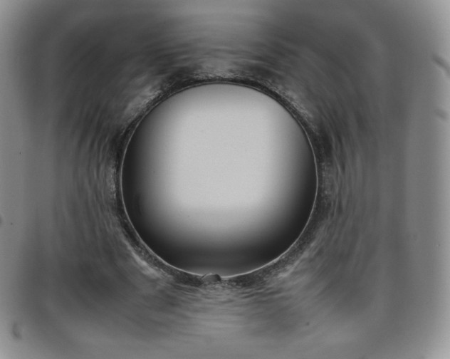 X0000099230489200805011140