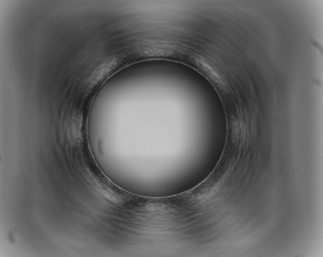 X0000099230490200805011140