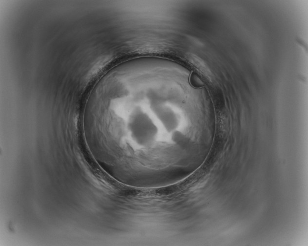 X0000099230491200805011140