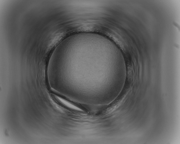 X0000099230493200805011140