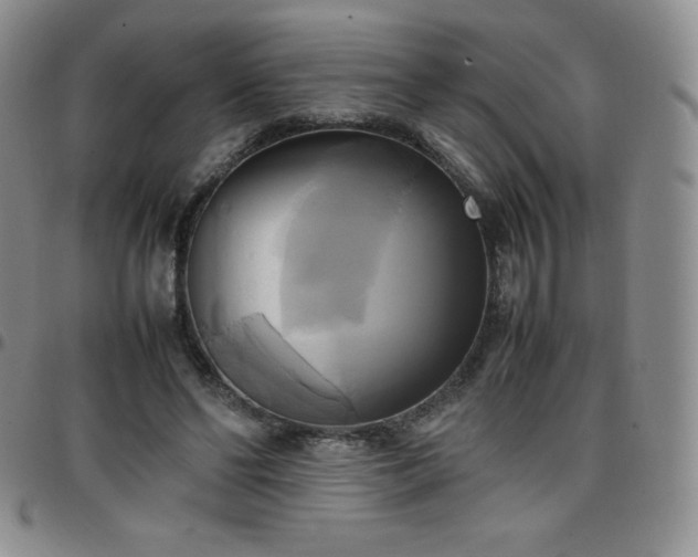 X0000099230494200805011140