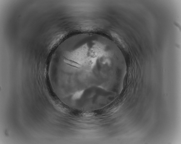 X0000099230495200805011140