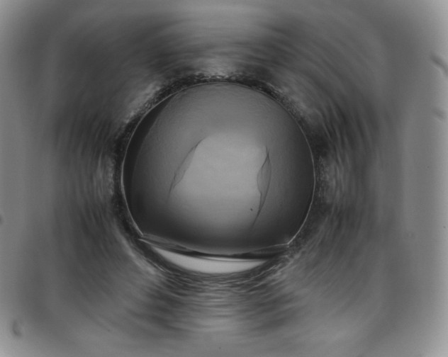 X0000099230496200805011140