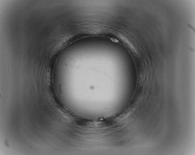 X0000099230497200805011140