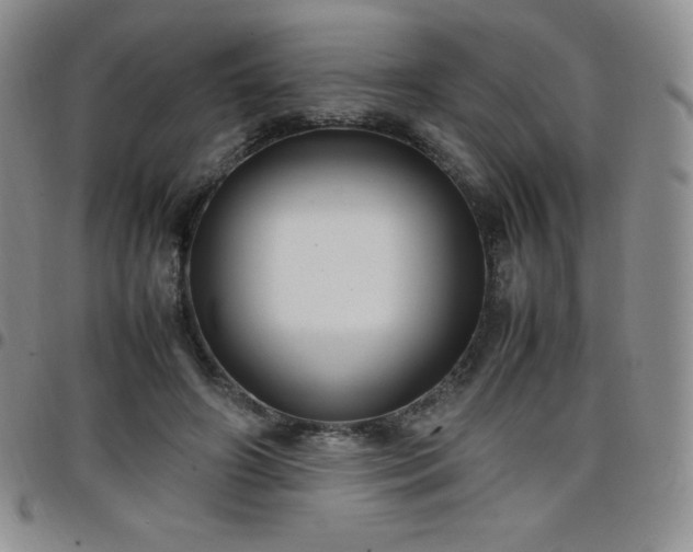 X0000099230498200805011140