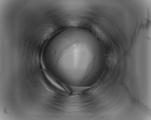 X0000099230500200805011140