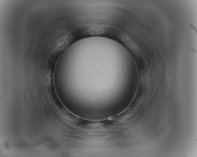 X0000099230501200805011139