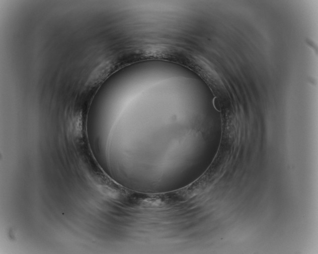 X0000099230502200805011139