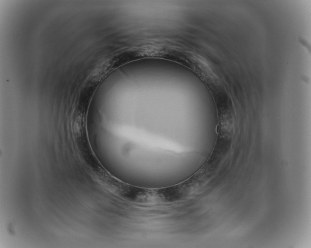 X0000099230503200805011139