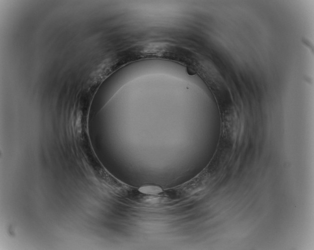 X0000099230504200805011139