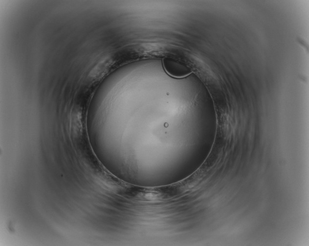 X0000099230506200805011139