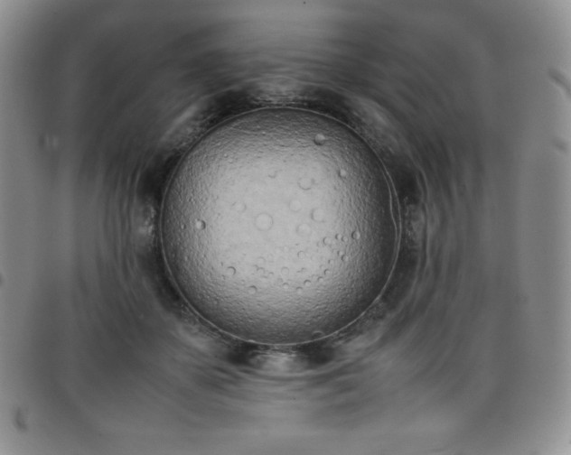 X0000099230507200805011139