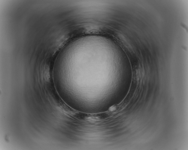 X0000099230508200805011139