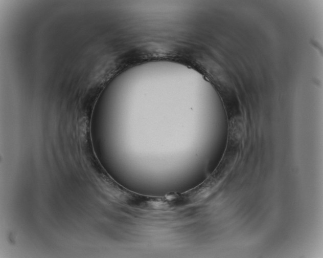 X0000099230509200805011139