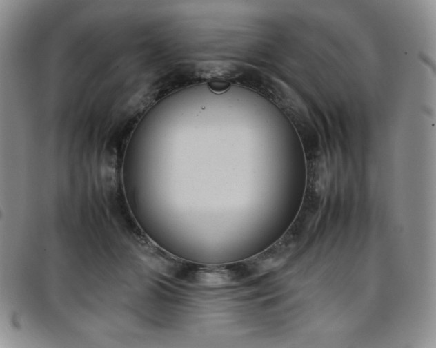 X0000099230510200805011139