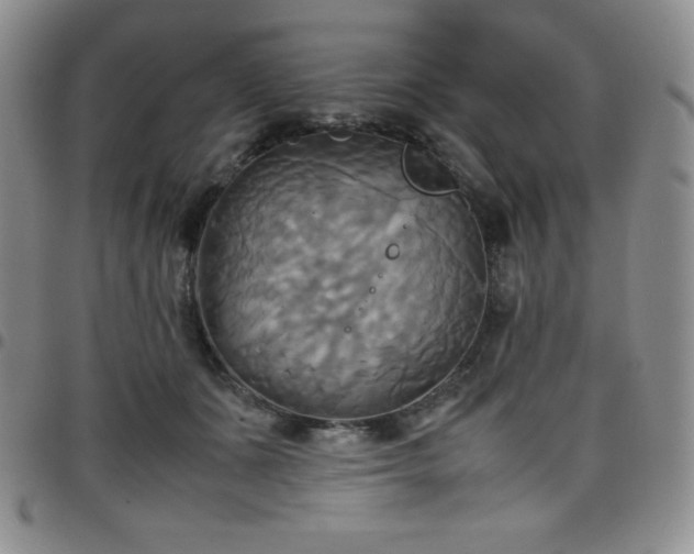 X0000099230511200805011139