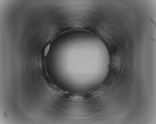 X0000099230512200805011139