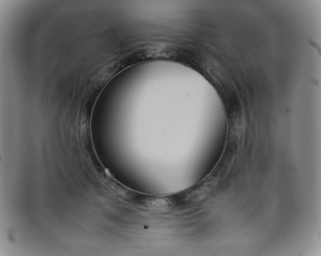 X0000099230513200805011139