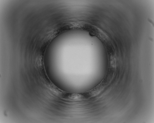 X0000099230514200805011139