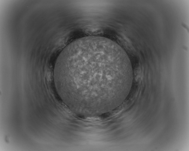 X0000099230515200805011139