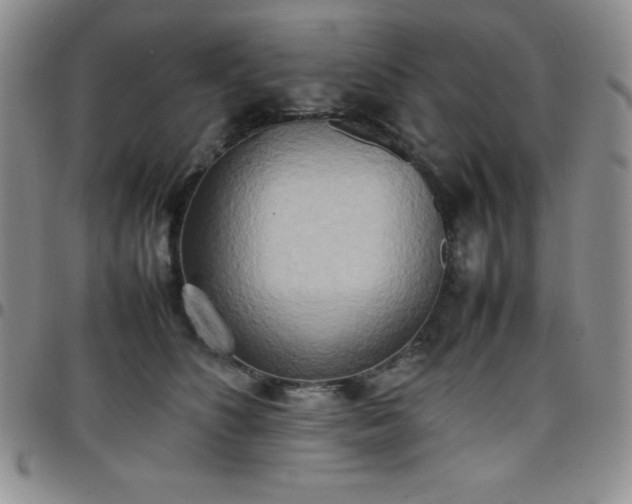 X0000099230516200805011139