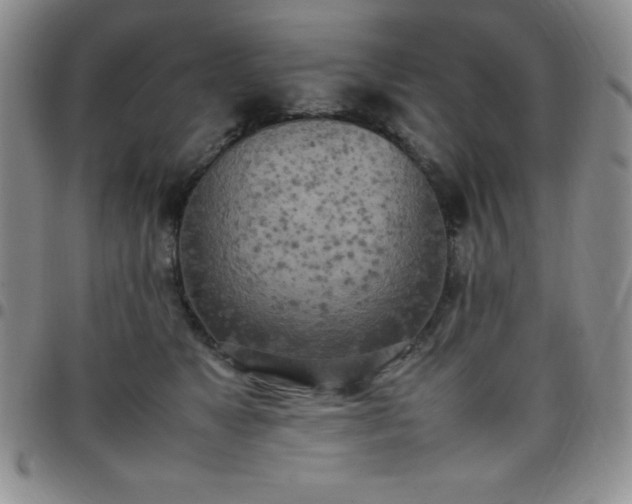 X0000099230517200805011139