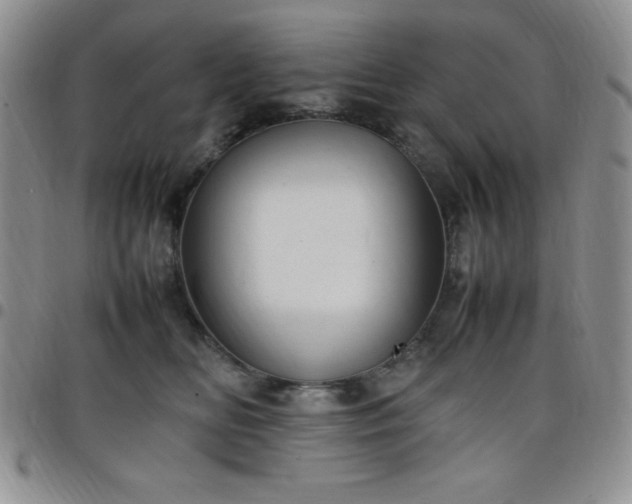 X0000099230518200805011139