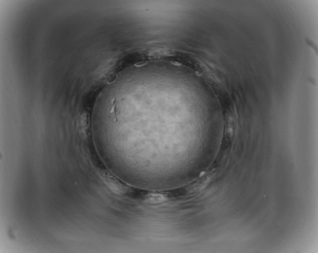 X0000099230519200805011139