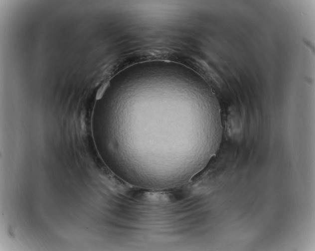 X0000099230520200805011139