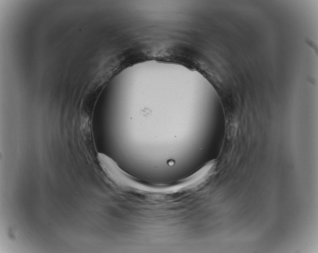 X0000099230521200805011139