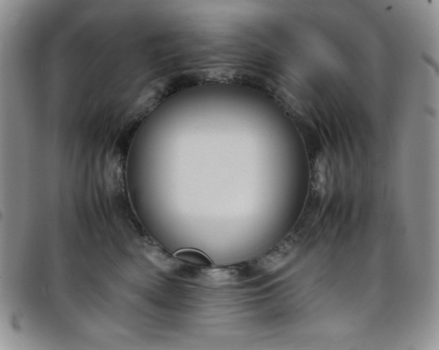 X0000099230522200805011139